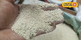 सफेद दानों वाला ये सुपरफूड, कर देगा झट से ठंड गायब! हार्ट, बीपी, शुगर में भी कारगर – Uttar Pradesh News