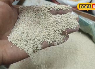 सफेद दानों वाला ये सुपरफूड, कर देगा झट से ठंड गायब! हार्ट, बीपी, शुगर में भी कारगर – Uttar Pradesh News