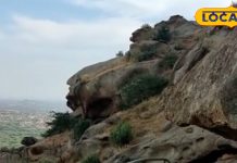 पिकनिक स्पॉट: ये हैं सिरोही के फेमस पिकनिक स्पॉट, जहां दोस्तों और परिवार के साथ बिता सकते हैं यादगार पल – Rajasthan News