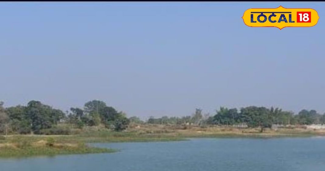 पैसे व समय दोनों की होगी बचत.. नए साल में घूमने व पिकनिक के लिए बेस्ट जगह, फूल डे कर सकेंगे मस्ती