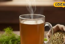 डिटॉक्स से लेकर वेट लॉस तक, एक ही ड्रिंक के ढेरों फायदे! जानिए सौंफ का पानी कब और कैसे पिएं?