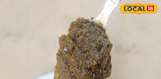 सर्दी में घर पर बनाएं हरी धनिया का ये अचार, स्वाद ऐसा कि देखते ही मुंह में आ जाएगा पानी, जानें रेसिपी – Jharkhand News