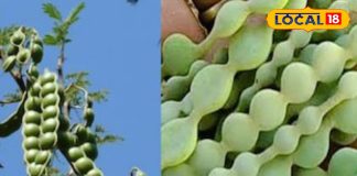 This bean is a panacea for dozens of diseases including vaginal health and digestion. – Uttar Pradesh News