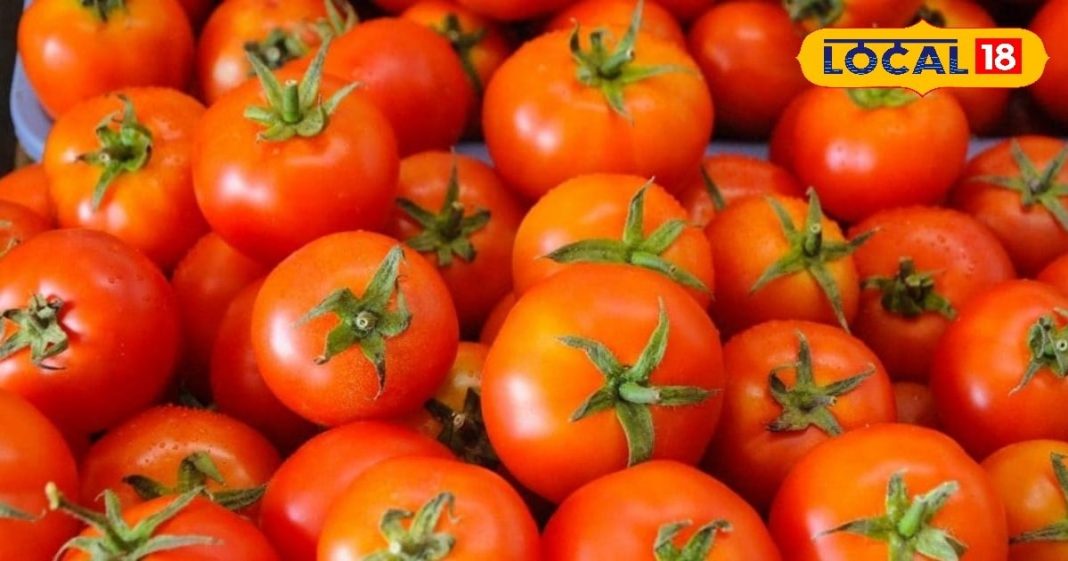 सर्दियों में खट्टा-मीठा खाने का मन है? तो घर पर बनाएं टमाटर की लौंजी, जानिए आसान और टेस्टी रेसिपी