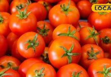 सर्दियों में खट्टा-मीठा खाने का मन है? तो घर पर बनाएं टमाटर की लौंजी, जानिए आसान और टेस्टी रेसिपी