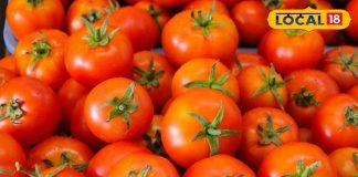 सर्दियों में खट्टा-मीठा खाने का मन है? तो घर पर बनाएं टमाटर की लौंजी, जानिए आसान और टेस्टी रेसिपी