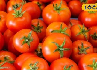 सर्दियों में खट्टा-मीठा खाने का मन है? तो घर पर बनाएं टमाटर की लौंजी, जानिए आसान और टेस्टी रेसिपी