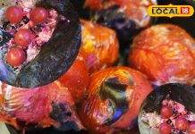 गोरसी से सील-बट्टे तक, जानिए सरगुजा की पारंपरिक पाताल चटनी की पूरी रेसिपी