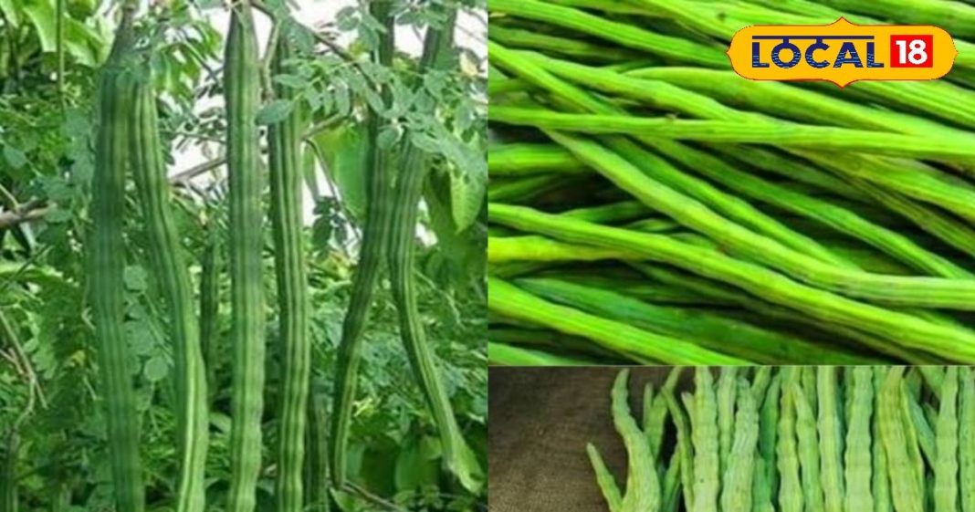काजू-बादाम की जगह यह सब्ज़ी… मानी जाती है गरीबों का मुफ्त मल्टीविटामिन, जानिए इसके चमत्कारी फायदे
