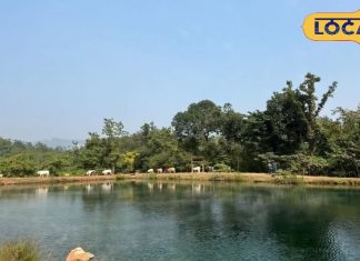 बिहार में जंगल के बीच है ये बेस्ट पिकनिक स्पॉट, सिर्फ 60 दिनों का है मौका! यहां कड़ाके की ठंड में भी नदी से बहता है गर्म पानी