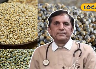 सर्दियों में बाजरा क्यों है फायदेमंद डॉ. चंद्र प्रकाश दीक्षित की सलाह.