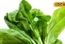 पालक- मूंगफली का साग: नहीं ट्राई की होगी यह रेसिपी, इस ठंड अलग तरह से बनाएं यह हरा पत्ता, स्वाद-सेहत दोनों डबल – Bihar News