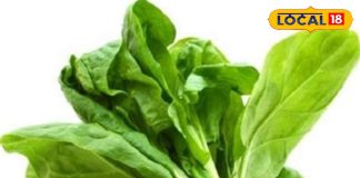 पालक- मूंगफली का साग: नहीं ट्राई की होगी यह रेसिपी, इस ठंड अलग तरह से बनाएं यह हरा पत्ता, स्वाद-सेहत दोनों डबल – Bihar News