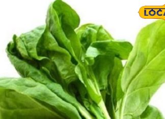 पालक- मूंगफली का साग: नहीं ट्राई की होगी यह रेसिपी, इस ठंड अलग तरह से बनाएं यह हरा पत्ता, स्वाद-सेहत दोनों डबल – Bihar News