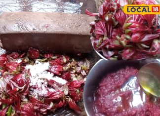 सर्दी स्पेशल चटनी! एक चम्मच में छुपा है सेहत का जादू, कमाल है मिथिला की लाल चटनी का रहस्य – Bharat.one हिंदी