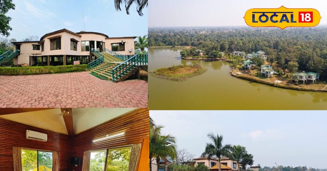 рдЬрдВрдЧрд▓, рдЭреАрд▓ рдФрд░ рдЖрдЗрд▓реИрдВрдб рдПрдбрд╡реЗрдВрдЪрд░ рдХрд╛ рдордЬрд╝рд╛! рдиреНрдпреВ рдИрдпрд░ рдкрд░ рдмреЗрд╕реНрдЯ рд╣реИ рдЫрддреНрддреАрд╕рдЧрдврд╝ рдХрд╛ рдпреЗ рдЗрдХреЛ рд░рд┐рдЬреЙрд░реНрдЯ – Chhattisgarh News