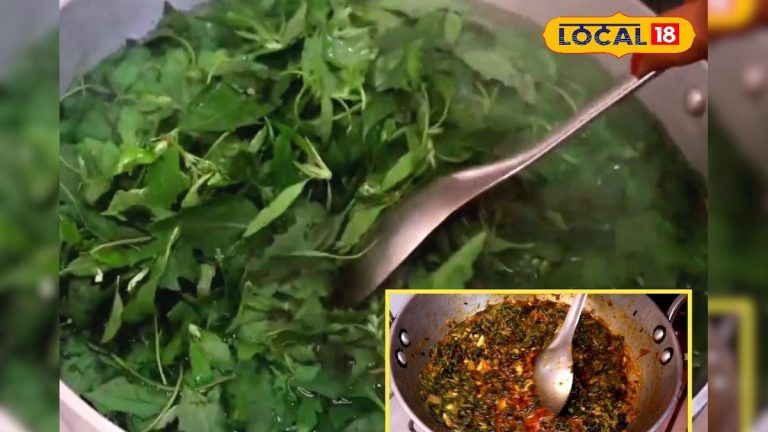 सर्दियों की करेगा दवा का काम! जानें कैसे बनाएं बथुआ की सब्जी और रायता, नोट करें मजेदार रेसिपी