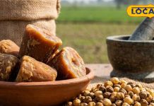 किचन की ये 2 मामूली चीज! बना देगी दिमाग को कंप्यूटर जैसा शार्प, बस ऐसे करें इस्तेमाल – Uttar Pradesh News