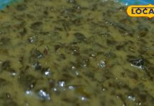 Dholpur Special Alan Sabji Recipe: Winter Health Benefits of Mixed Leafy Greens