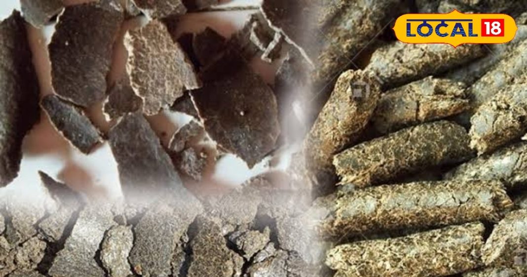 सर्दियों में पशुओं का सूपरफूड है देसी खली, पशुपालकों की है पहली पसंद, खिलाने से बाल्टी भर-भरकर दूध देंगी गाय-भैंस – Jharkhand News