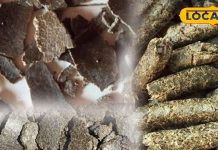 सर्दियों में पशुओं का सूपरफूड है देसी खली, पशुपालकों की है पहली पसंद, खिलाने से बाल्टी भर-भरकर दूध देंगी गाय-भैंस – Jharkhand News