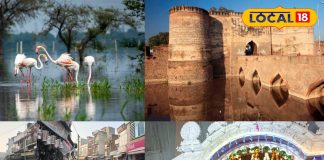 Bharatpur tourist places | Bharatpur winter tourism | beautiful places in Bharatpur | Bharatpur sightseeing winter | Keoladeo National Park Bharatpur | Bharatpur nature spots