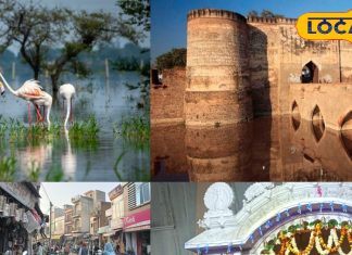 Bharatpur tourist places | Bharatpur winter tourism | beautiful places in Bharatpur | Bharatpur sightseeing winter | Keoladeo National Park Bharatpur | Bharatpur nature spots