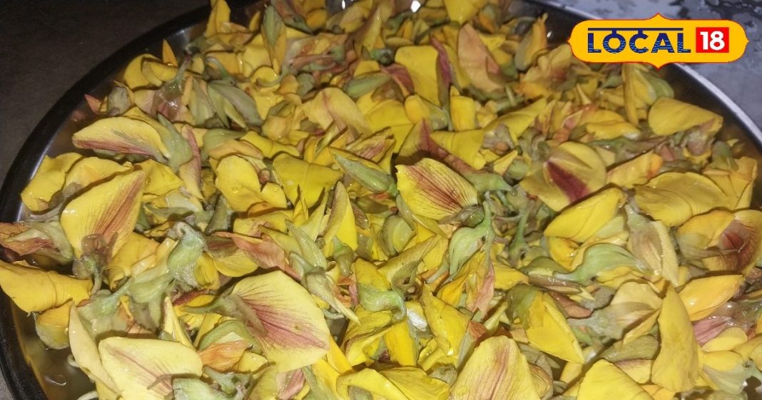 हरे पत्तों का नहीं, इस बार बनाएं पीले सनई के फूलों का साग, लगाएं पंचफोरन का छौंक, बनेगा लाजवाब, बिहारी रेसिपी – Bihar News