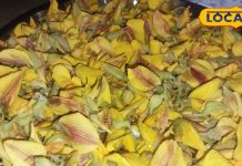 हरे पत्तों का नहीं, इस बार बनाएं पीले सनई के फूलों का साग, लगाएं पंचफोरन का छौंक, बनेगा लाजवाब, बिहारी रेसिपी – Bihar News