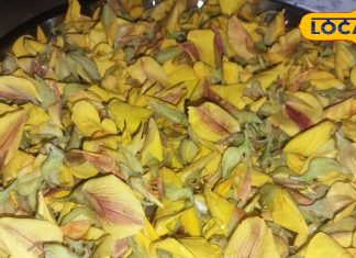 हरे पत्तों का नहीं, इस बार बनाएं पीले सनई के फूलों का साग, लगाएं पंचफोरन का छौंक, बनेगा लाजवाब, बिहारी रेसिपी – Bihar News