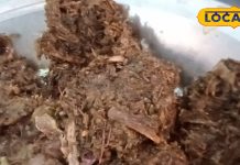 इस हरे साग की कचरी के सामने प्याज, पनीर, आलू फेल..! ऐसे बनाएं नूनी के साग की पकौड़ी, सेहत-स्वाद दोनों का ध्यान – Bihar News