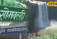 रीवा के जंगल में मिला चमत्कारी पौधा! 60 की उम्र में भी रखता है जवान, वेदों में लिखा है इसका रहस्य – Madhya Pradesh News