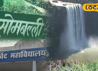 रीवा के जंगल में मिला चमत्कारी पौधा! 60 की उम्र में भी रखता है जवान, वेदों में लिखा है इसका रहस्य – Madhya Pradesh News
