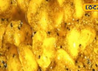 मशरूम का अचार रेसिपी सहारनपुर स्टाइल स्वाद और सेहत के लिए फायदेमंद.