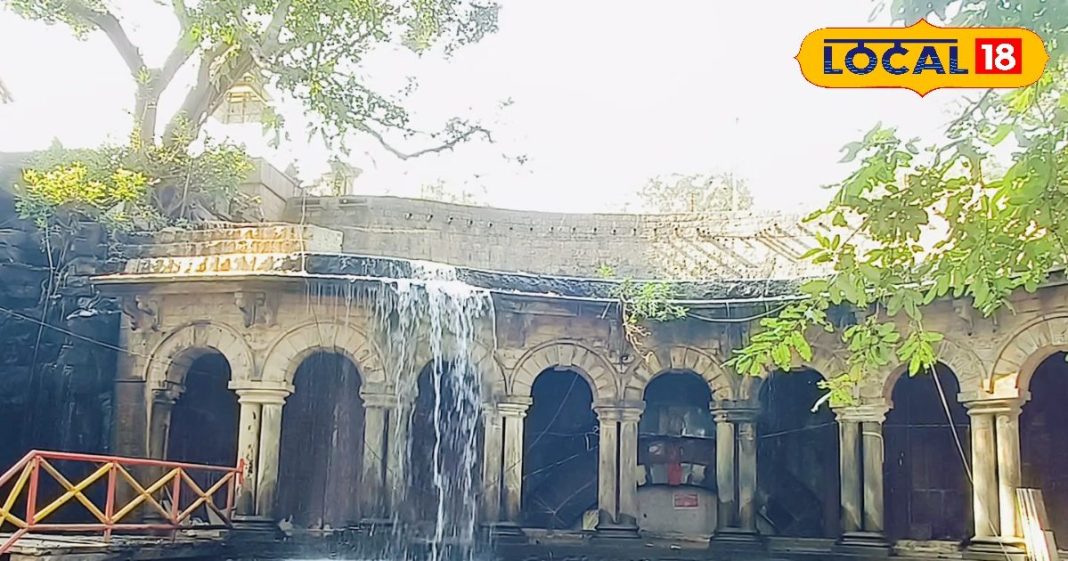 शिवपुरी के इन खूबसूरत लोकेशन की जरूर करें सैर, खूबसूरती देख दिल होगा बाग-बाग; स्वर्ग सा है नजारा