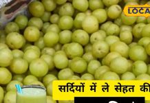 How to make Amla Juice at home: Benefits for Cholesterol, Skin and Immunity.