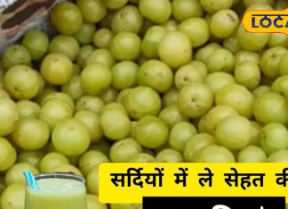 How to make Amla Juice at home: Benefits for Cholesterol, Skin and Immunity.
