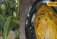 Make hot rice and bean cheela at home during the cold days, it is tasty and healthy too, know the easy recipe. – Jharkhand News