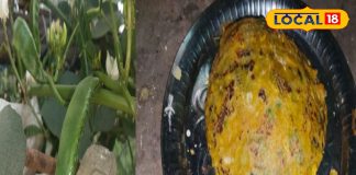 Make hot rice and bean cheela at home during the cold days, it is tasty and healthy too, know the easy recipe. – Jharkhand News