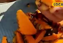 सिर्फ मसाला नहीं, विंध्य की हल्दी है दिमाग-तनाव-दर्द की रामबाण दवा! एक साथ ठीक करती इतने रोग – Madhya Pradesh News