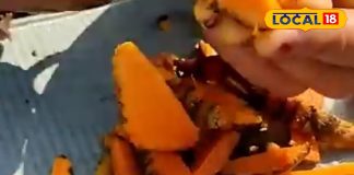 सिर्फ मसाला नहीं, विंध्य की हल्दी है दिमाग-तनाव-दर्द की रामबाण दवा! एक साथ ठीक करती इतने रोग – Madhya Pradesh News