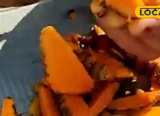 सिर्फ मसाला नहीं, विंध्य की हल्दी है दिमाग-तनाव-दर्द की रामबाण दवा! एक साथ ठीक करती इतने रोग – Madhya Pradesh News