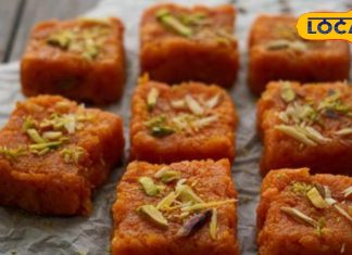 क्या आपने खाई है गाजर की बर्फी? स्वाद में बेहतरीन और सर्दियों में सेहत के लिए फायदेमंद, जानें रेसिपी