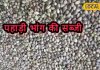 भांग की चटनी खूब खाई होगी, लेकिन चखी है इसकी सब्जी? सर्दियां हो जाएंगी छूमंतर, जानें रेसिपी