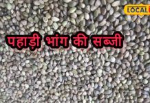 भांग की चटनी खूब खाई होगी, लेकिन चखी है इसकी सब्जी? सर्दियां हो जाएंगी छूमंतर, जानें रेसिपी