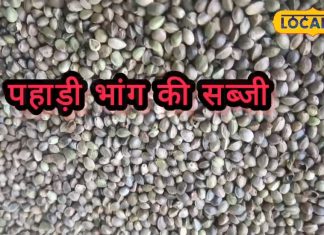 भांग की चटनी खूब खाई होगी, लेकिन चखी है इसकी सब्जी? सर्दियां हो जाएंगी छूमंतर, जानें रेसिपी