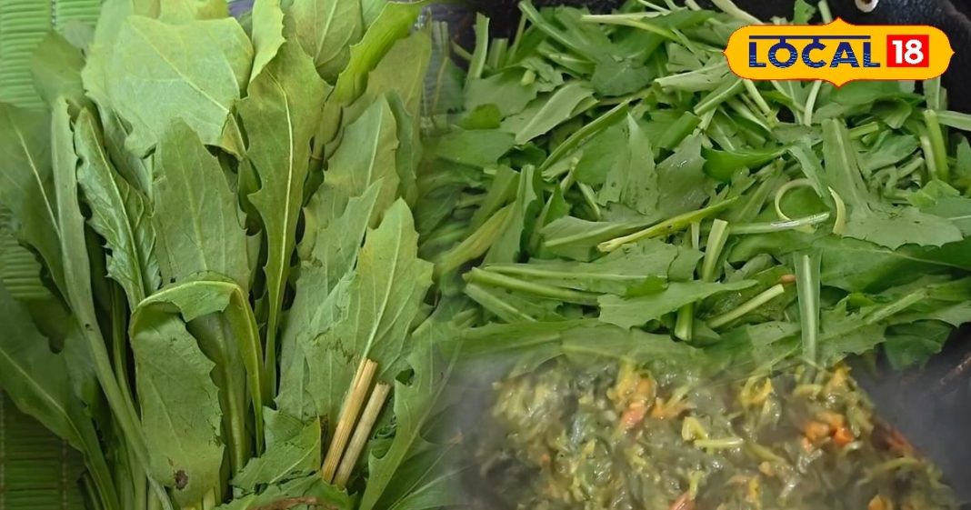 सर्दी आते ही छत्तीसगढ़ की थाली में बर्रे भाजी! स्वाद में देसी, सेहत में दमदार, जानिए फायदे और आसान रेसिपी – Chhattisgarh News