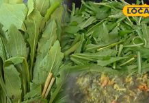 सर्दी आते ही छत्तीसगढ़ की थाली में बर्रे भाजी! स्वाद में देसी, सेहत में दमदार, जानिए फायदे और आसान रेसिपी – Chhattisgarh News