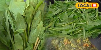 सर्दी आते ही छत्तीसगढ़ की थाली में बर्रे भाजी! स्वाद में देसी, सेहत में दमदार, जानिए फायदे और आसान रेसिपी – Chhattisgarh News