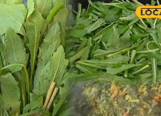 सर्दी आते ही छत्तीसगढ़ की थाली में बर्रे भाजी! स्वाद में देसी, सेहत में दमदार, जानिए फायदे और आसान रेसिपी – Chhattisgarh News